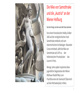 Bild 'default'