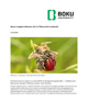 Bild 'default'