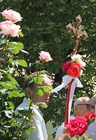 Bild 'AF8'