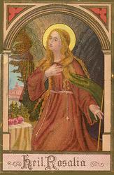 Rosalia