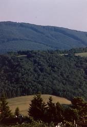 Wienerwald
