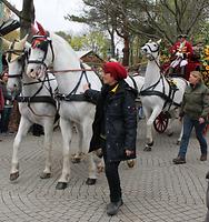 Bild 'IMG_6602b'