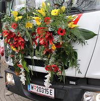 Bild 'IMG_6645b'