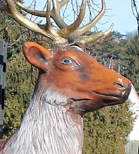 Beim Gasthaus Zum goldenen Hirsch in Hirtenberg, 2015, Foto: H.M.Wolf