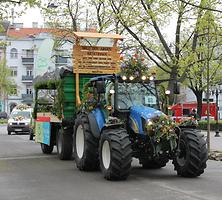 Bild 'IMG_6487b'