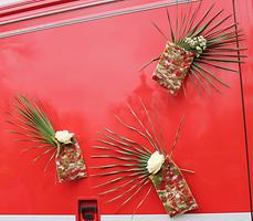 Bild 'IMG_6725b'