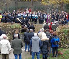 Bild 'AF Albern10'
