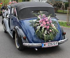 Bild 'IMG_6424b'