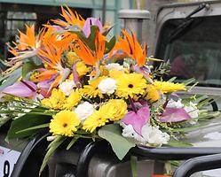 Bild 'IMG_6707b'