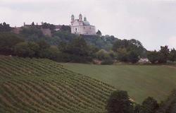 Wein