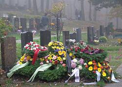Friedhof in Wien, Foto: Doris Wolf, 2013