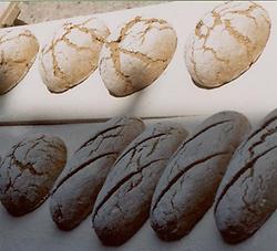 Brot