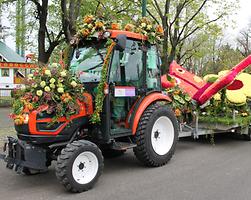 Bild 'IMG_6414b'