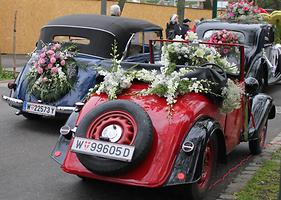 Bild 'IMG_6541b'