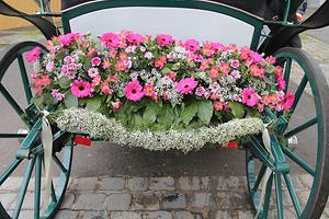 Bild 'IMG_6376b'
