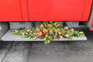 Bild 'IMG_6428'