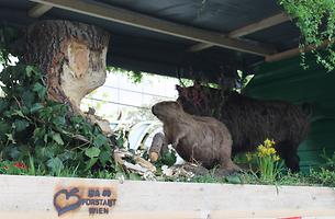 Bild 'IMG_6522b'
