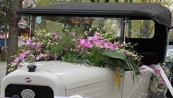 Bild 'IMG_6399b'