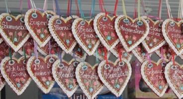 Bild 'b IMG_9053'
