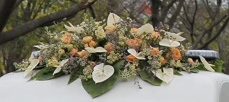 Bild 'IMG_6711b'