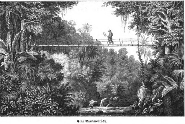 Sumatra Sumatra