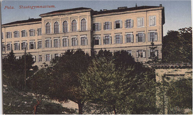Pola Pola