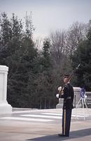 Arlington Arlington