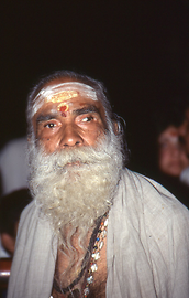 Brahmane Brahmane