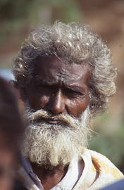 Pilger Pilger