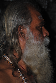 Brahmane Brahmane