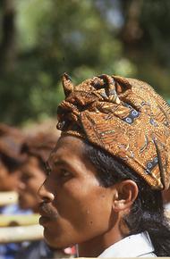 Bali Bali