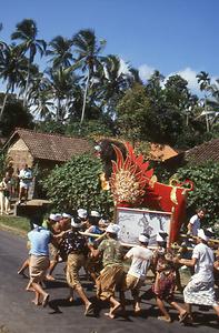 Bali Bali
