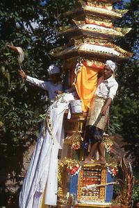 Bali Bali