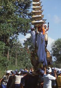 Bali Bali