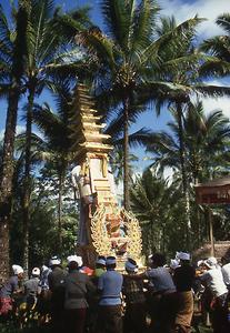 Bali Bali