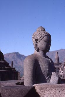 Buddha Buddha
