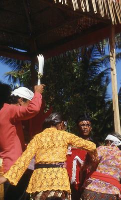 Bali Bali