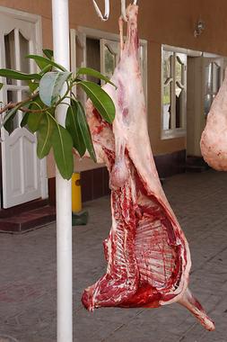 Schafwidder-Fleisch Schafwidder-Fleisch