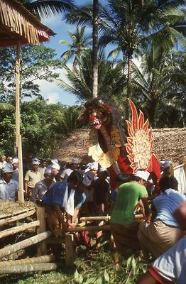 Bali Bali