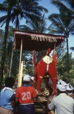 Bali Bali