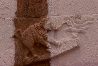 Ein Elefant holt sich Nahrung Ein Elefant holt sich Nahrung