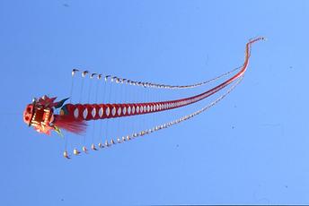 Flugdrache Flugdrache