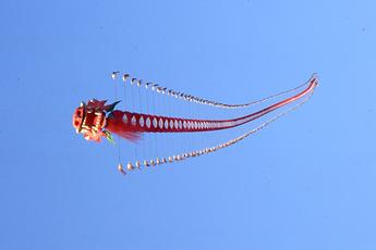 Flugdrache Flugdrache