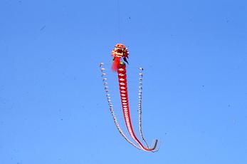 Flugdrache Flugdrache