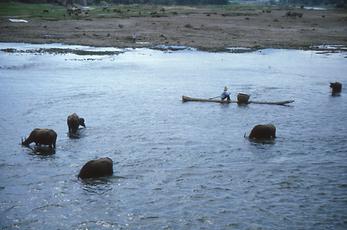 Li Jiang-Fluss Li Jiang-Fluss