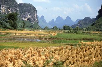 Li Jiang-Fluss Li Jiang-Fluss
