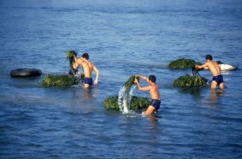 Li Jiang-Fluss Li Jiang-Fluss