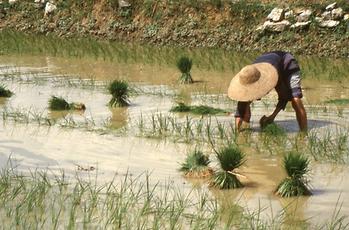 Li Jiang-Fluss Li Jiang-Fluss