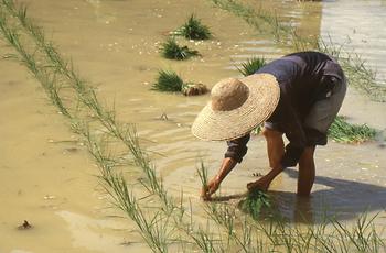 Li Jiang-Fluss Li Jiang-Fluss