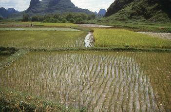 Li Jiang-Fluss Li Jiang-Fluss